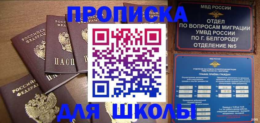 прописка гарантия в Шагонаре